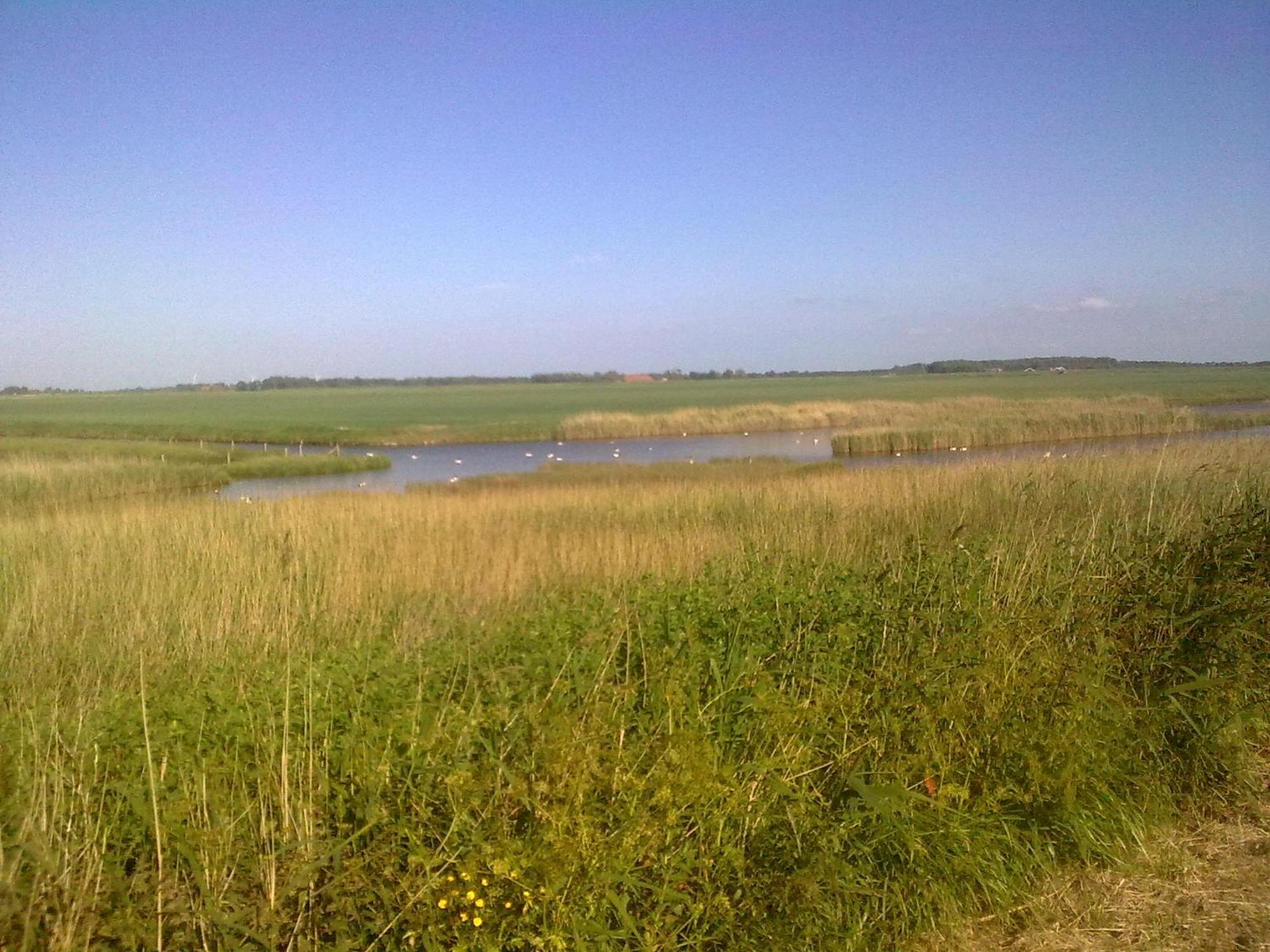 Vakantiehuis Buitengewoon Wissenkerke Bagian luar foto