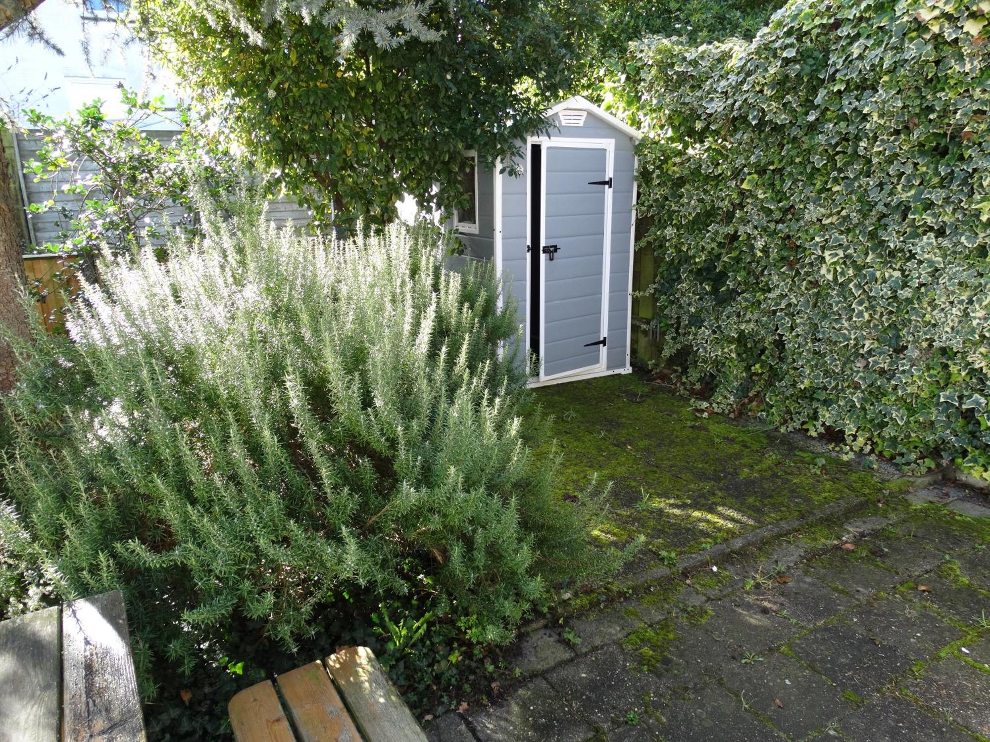 Vakantiehuis Buitengewoon Wissenkerke Bagian luar foto